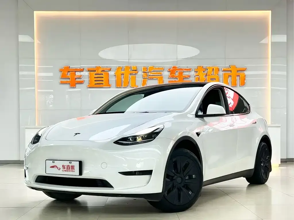 Tesla Model Y — фото 1
