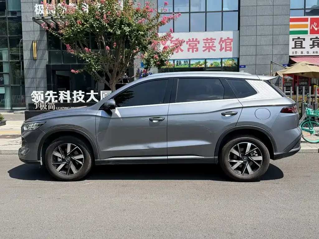 BYD Pro New Energy — фото 10