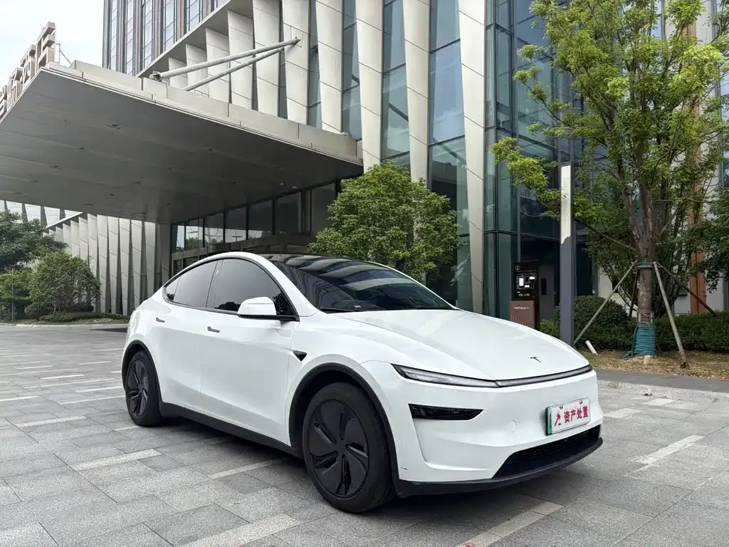 Tesla Model Y — фото 4