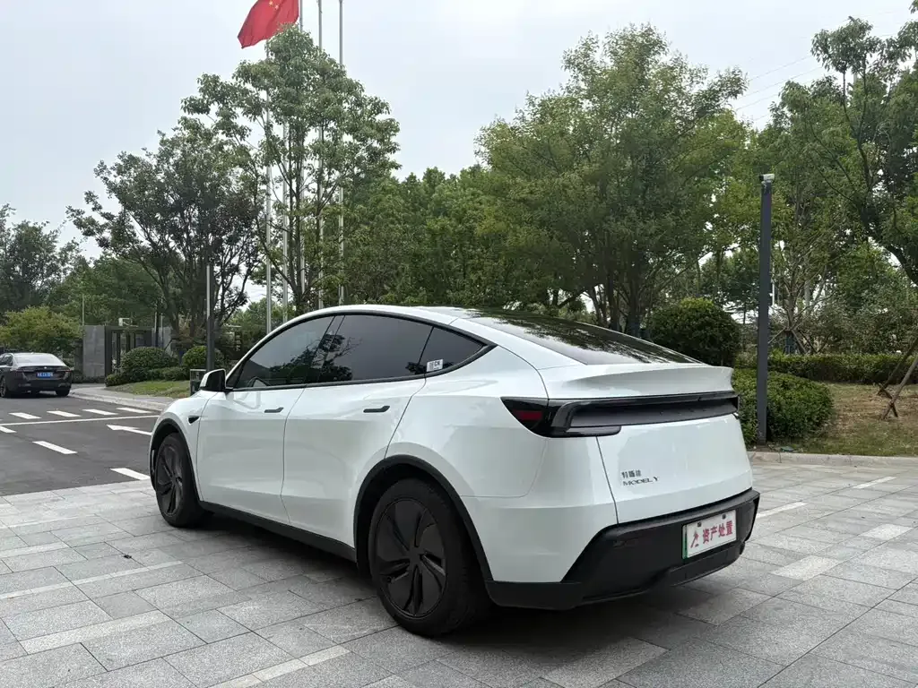 Tesla Model Y — фото 9