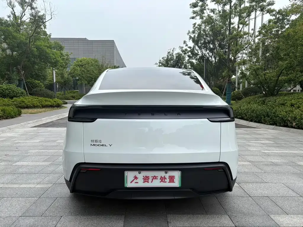 Tesla Model Y — фото 10