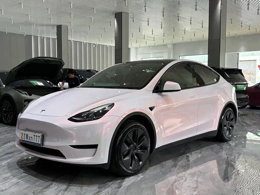 Tesla Model Y — фото 1