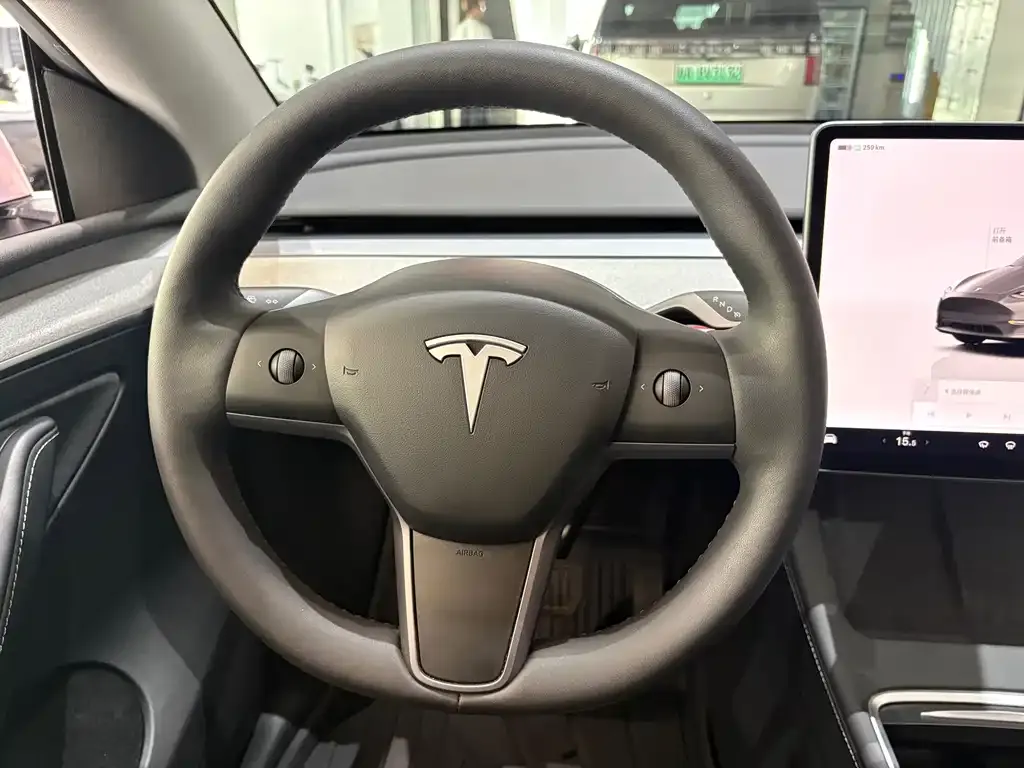 Tesla Model Y — фото 5