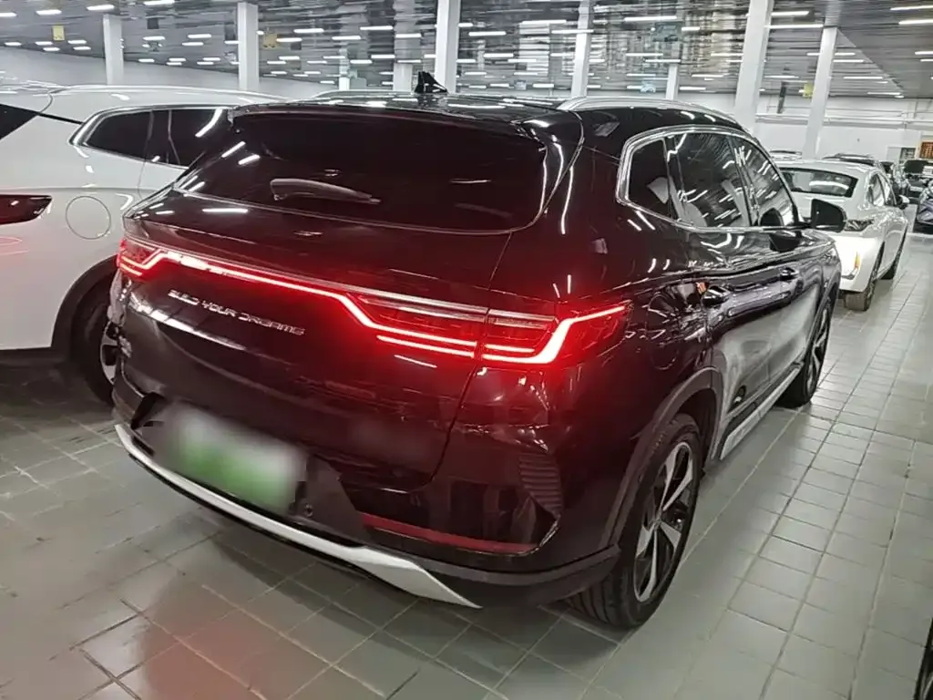 BYD PLUS New Energy — фото 4
