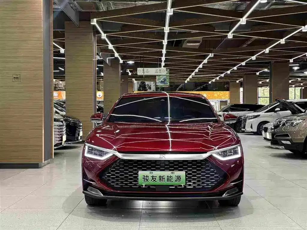 BYD Han — фото 10