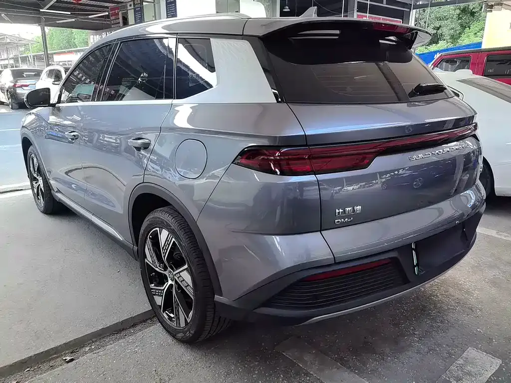 BYD Pro New Energy — фото 8