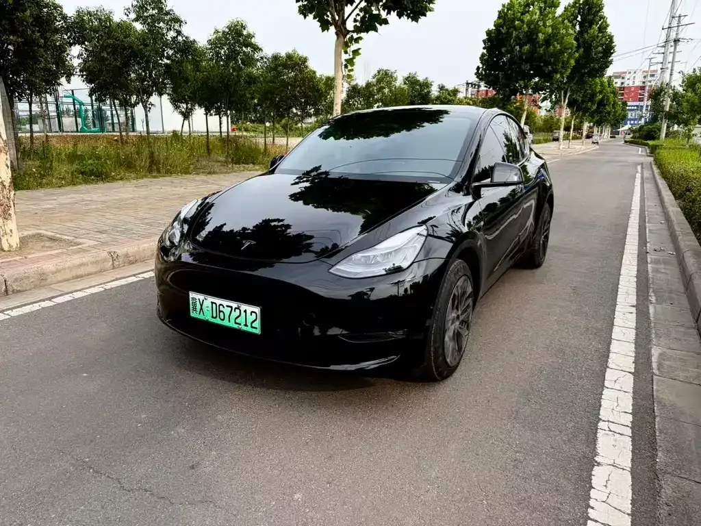 Tesla Model Y — фото 1