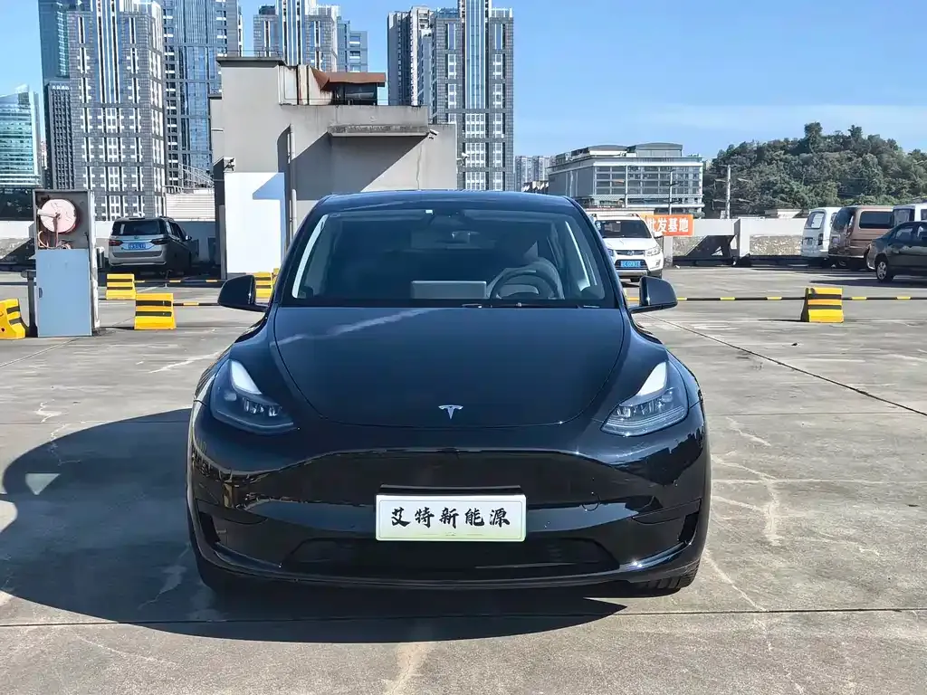 Tesla Model Y — фото 10