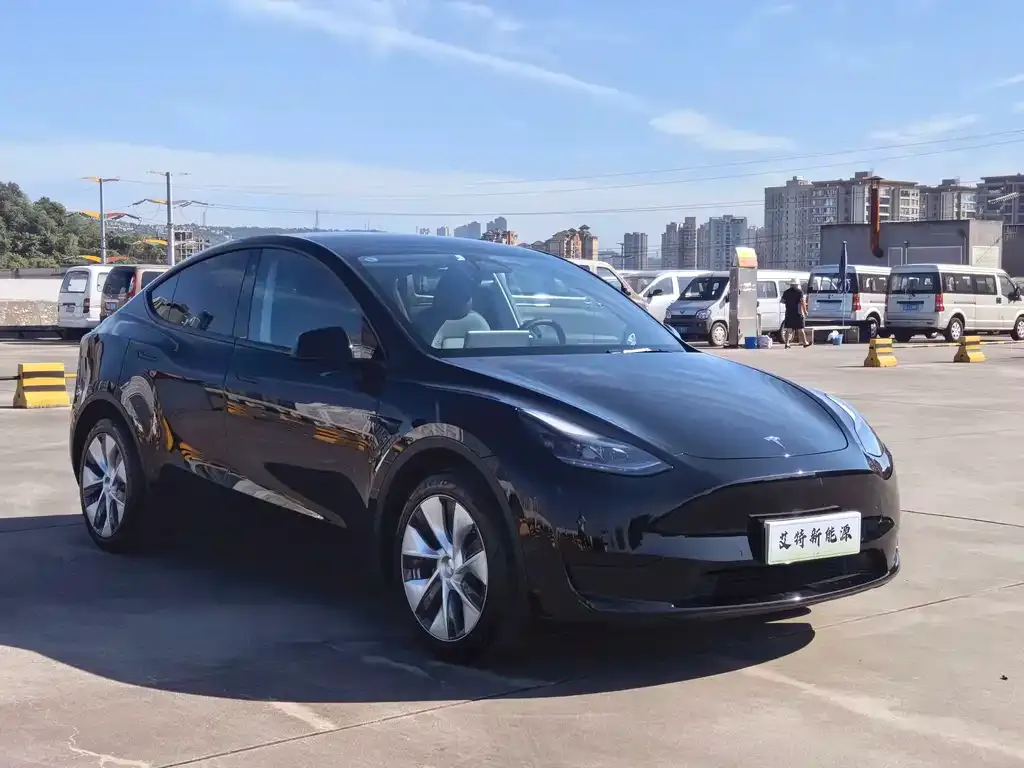 Tesla Model Y — фото 7