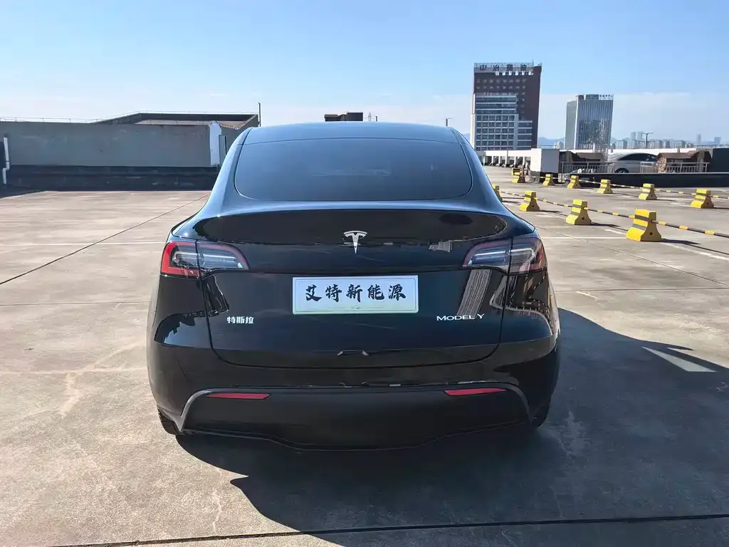 Tesla Model Y — фото 2