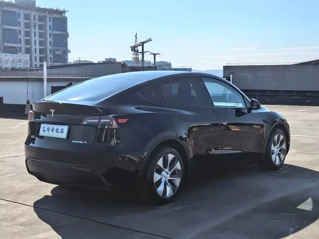 Tesla Model Y — фото 5