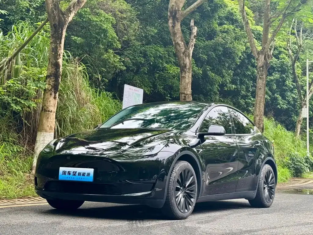 Tesla Model Y — фото 1