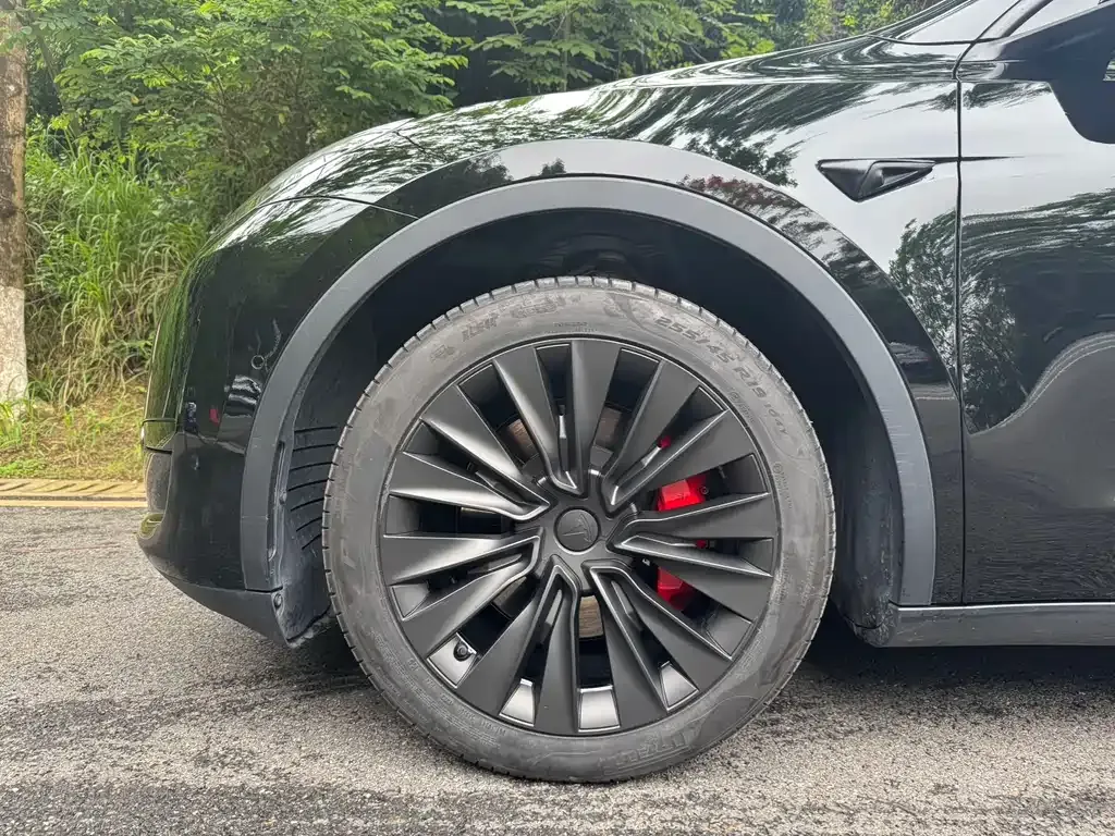 Tesla Model Y — фото 5