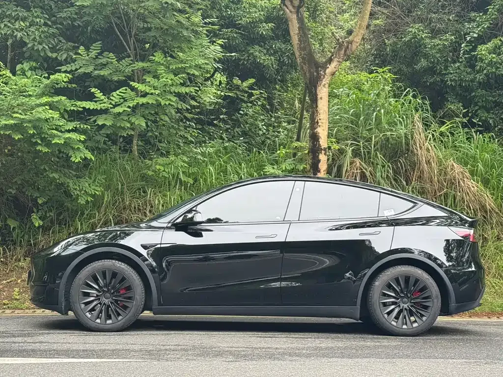 Tesla Model Y — фото 8