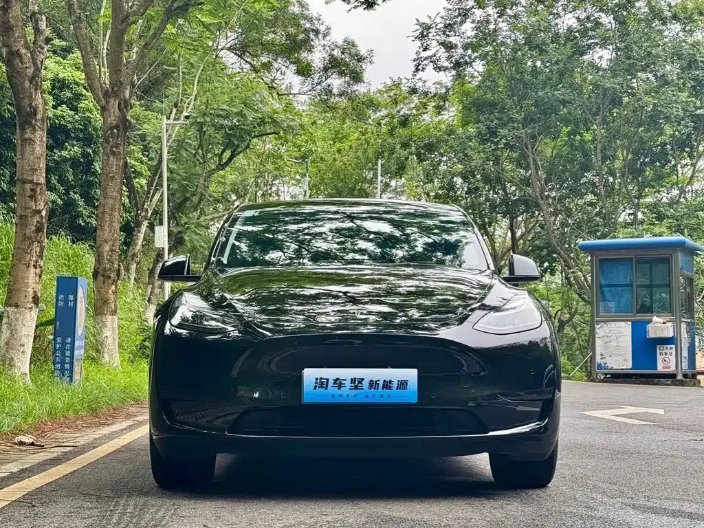 Tesla Model Y — фото 9