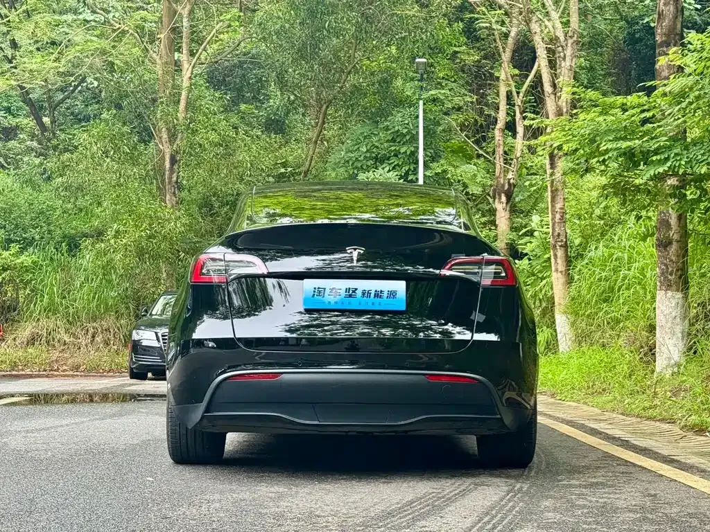 Tesla Model Y — фото 10