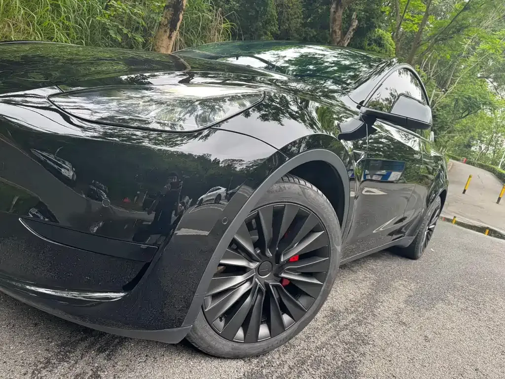 Tesla Model Y — фото 6