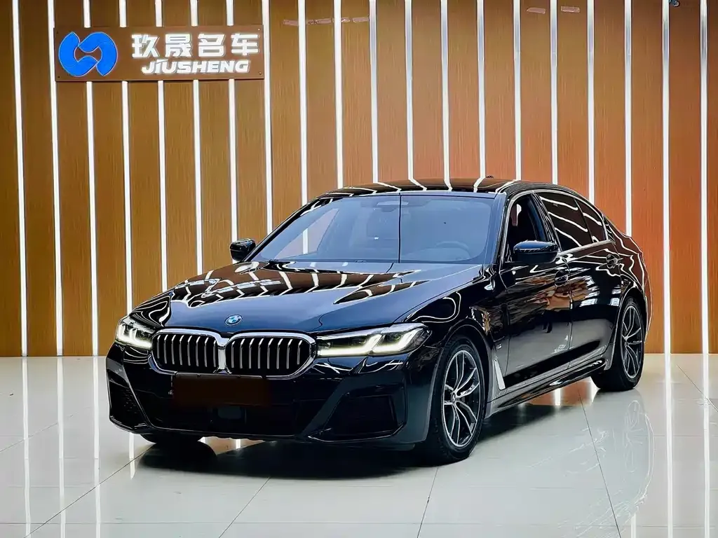 BMW 5 Series New Energy — фото 1