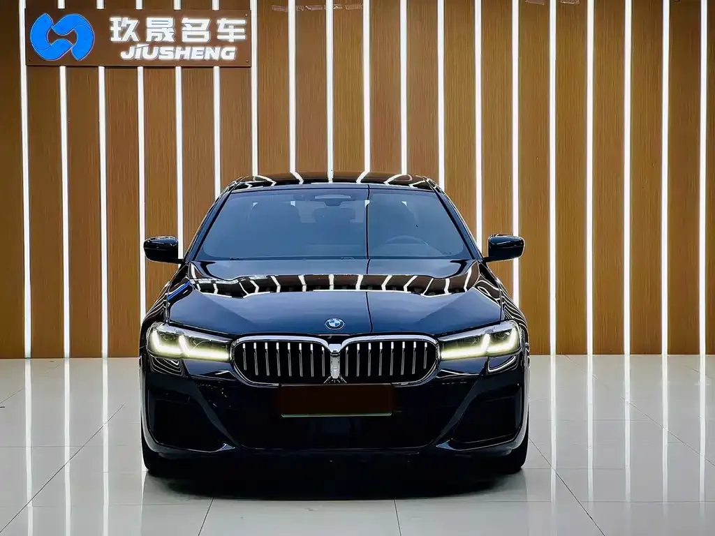 BMW 5 Series New Energy — фото 5