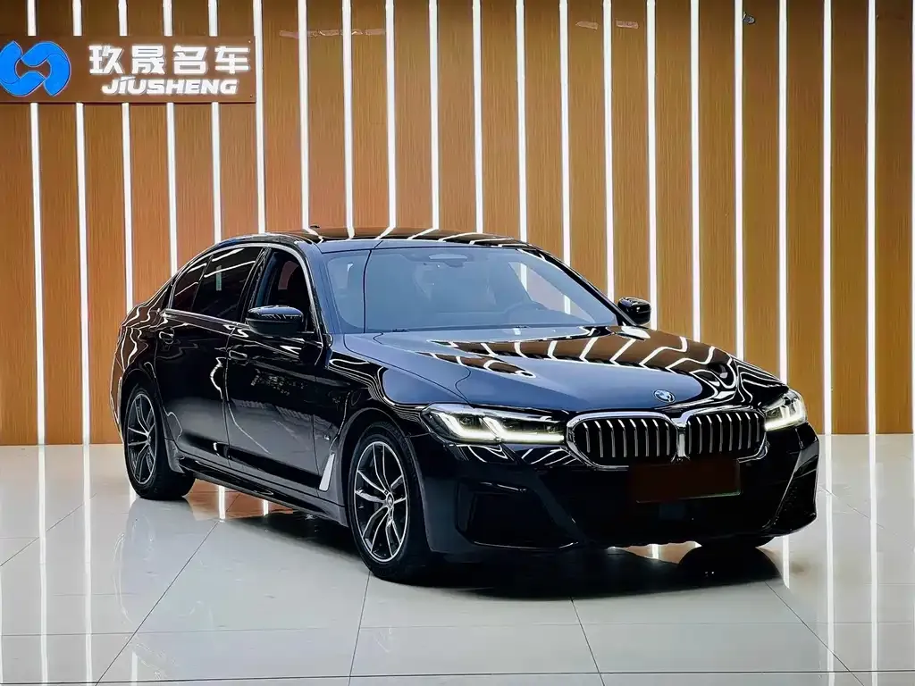 BMW 5 Series New Energy — фото 10