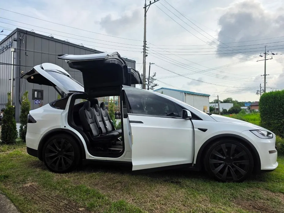 Tesla Model X — фото 1
