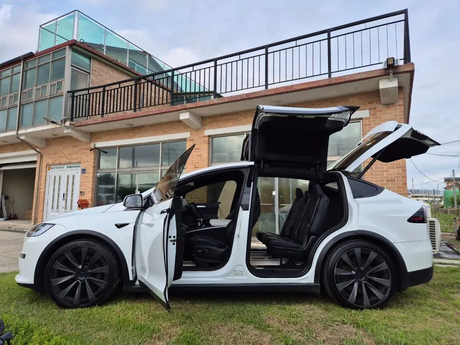 Tesla Model X — фото 6