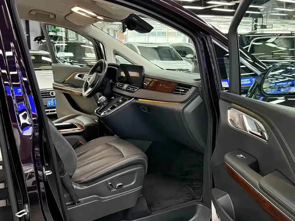 Hongqi HQ9 PHEV 2024 из CN, фото 4