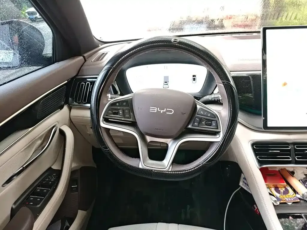 BYD PLUS New Energy — фото 10