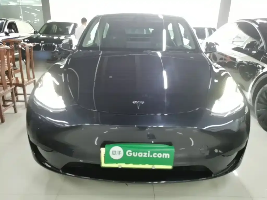 Tesla Model Y — фото 10