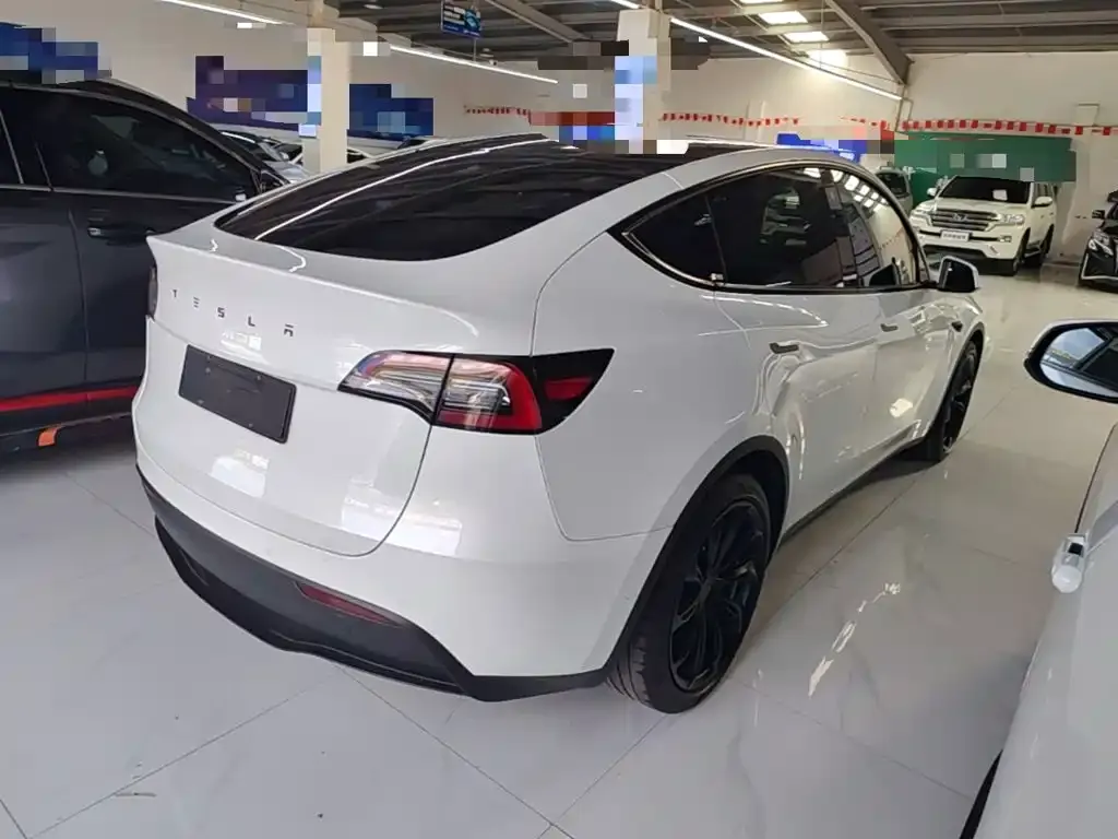 Tesla Model Y — фото 10