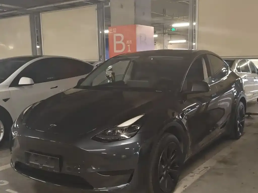 Tesla Model Y — фото 1