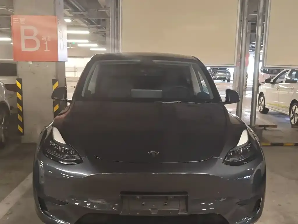 Tesla Model Y — фото 3