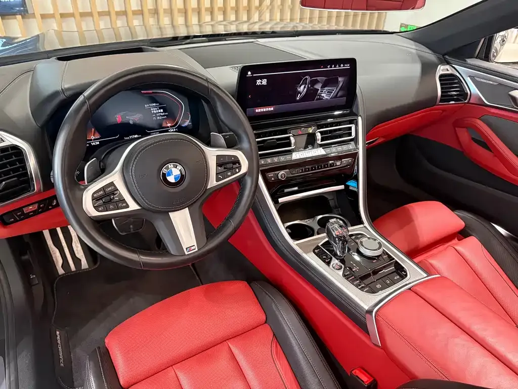 BMW 8 Series — фото 10