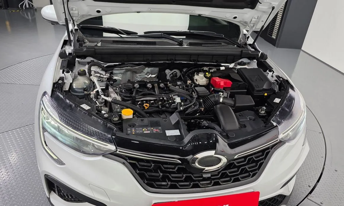 Renault Korea (Samsung) XM3 2024 из KR, фото 6