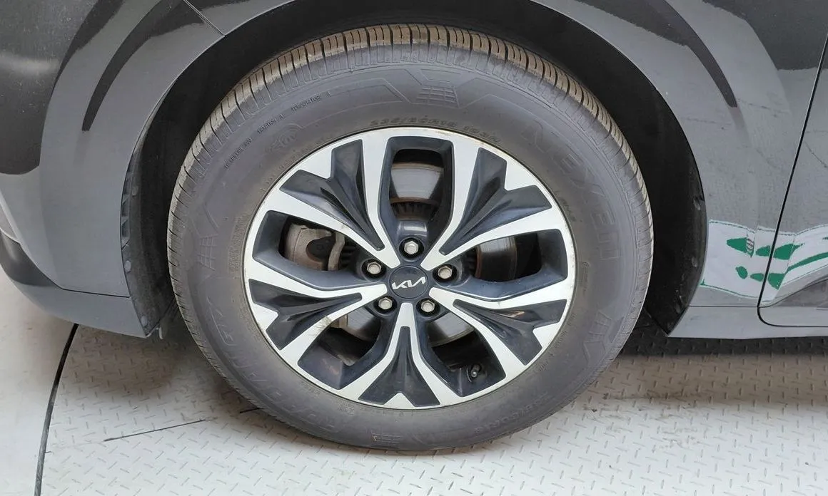 Kia Carnival — фото 10