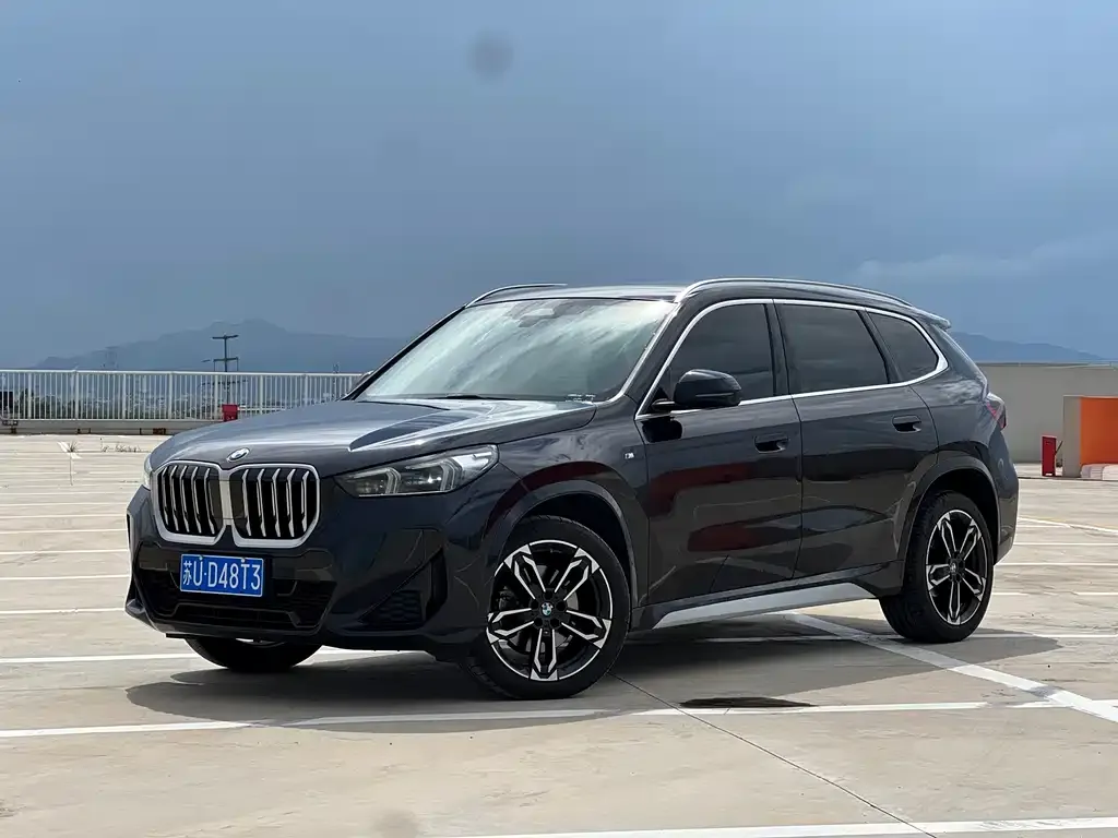 BMW X1 — фото 1