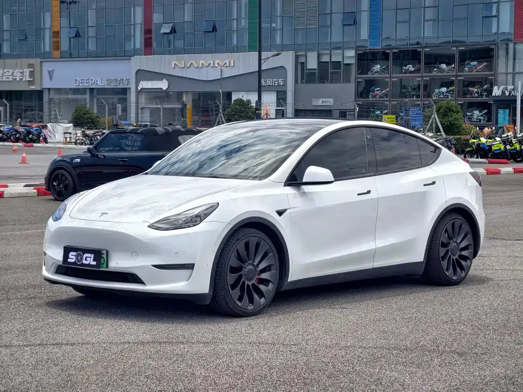 Tesla Model Y — фото 1