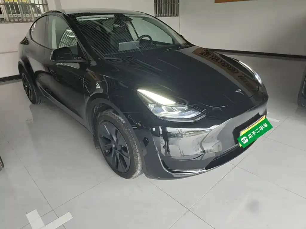 Tesla Model Y — фото 2