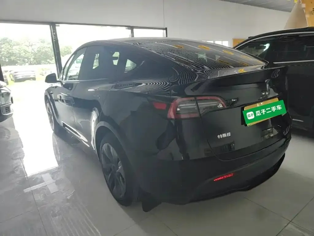 Tesla Model Y — фото 10
