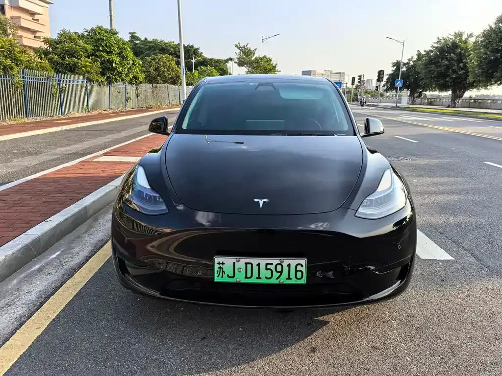 Tesla Model Y — фото 9