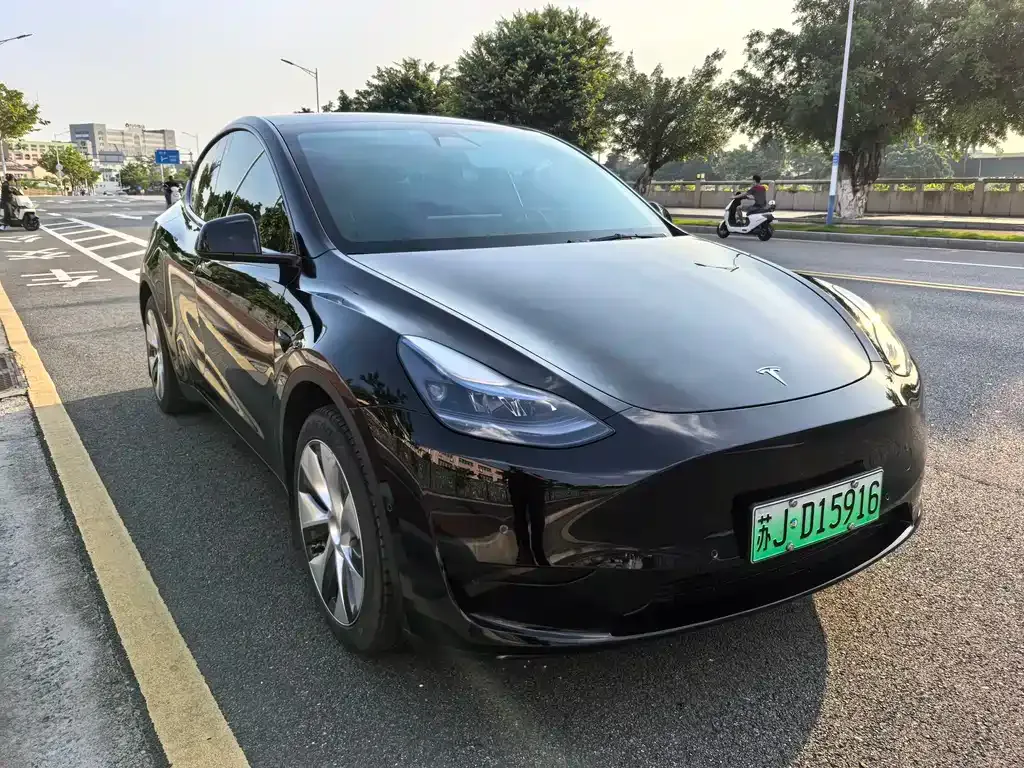 Tesla Model Y — фото 5