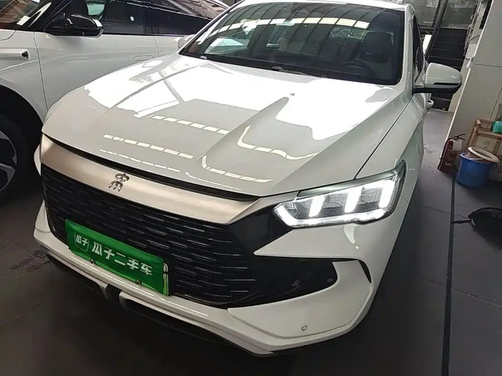 BYD Pro New Energy — фото 2
