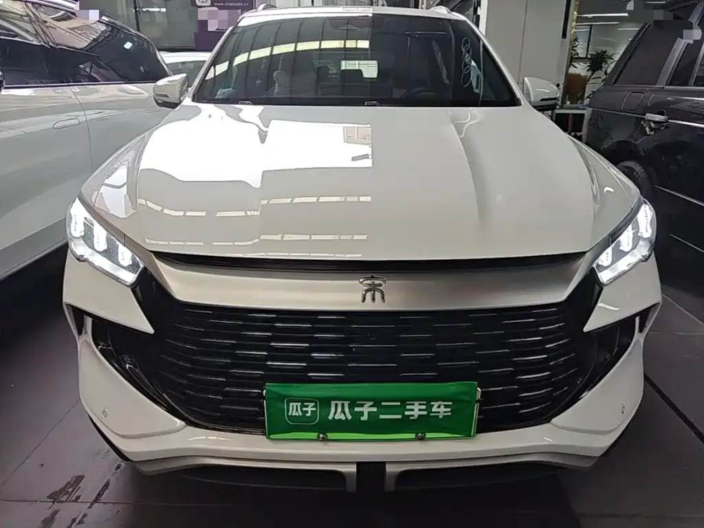 BYD Pro New Energy — фото 8