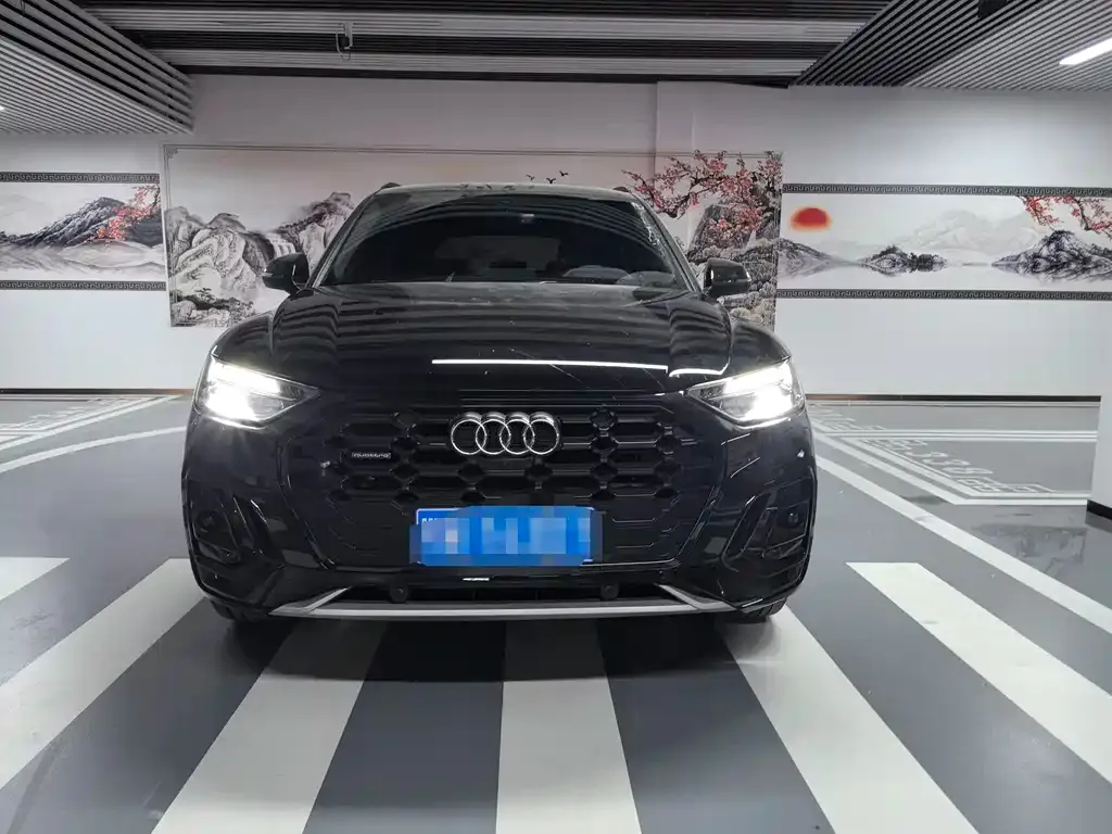 Audi Q5L 2024 из CN, фото 3
