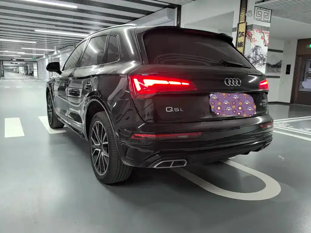 Audi Q5L 2024 из CN, фото 2