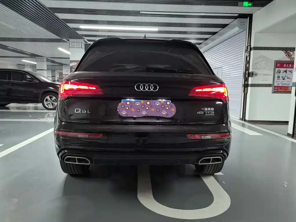 Audi Q5L 2024 из CN, фото 9