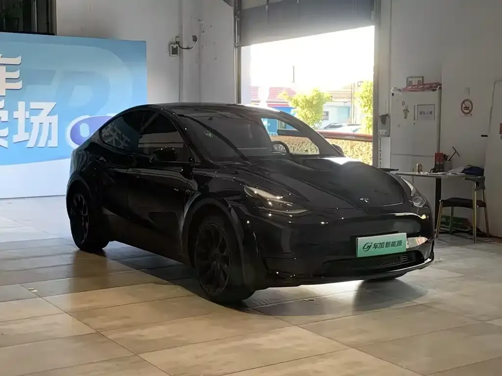 Tesla Model Y — фото 5