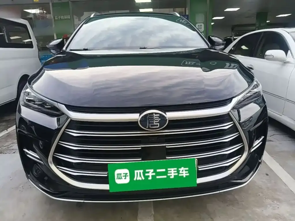 BYD Tang New Energy — фото 5