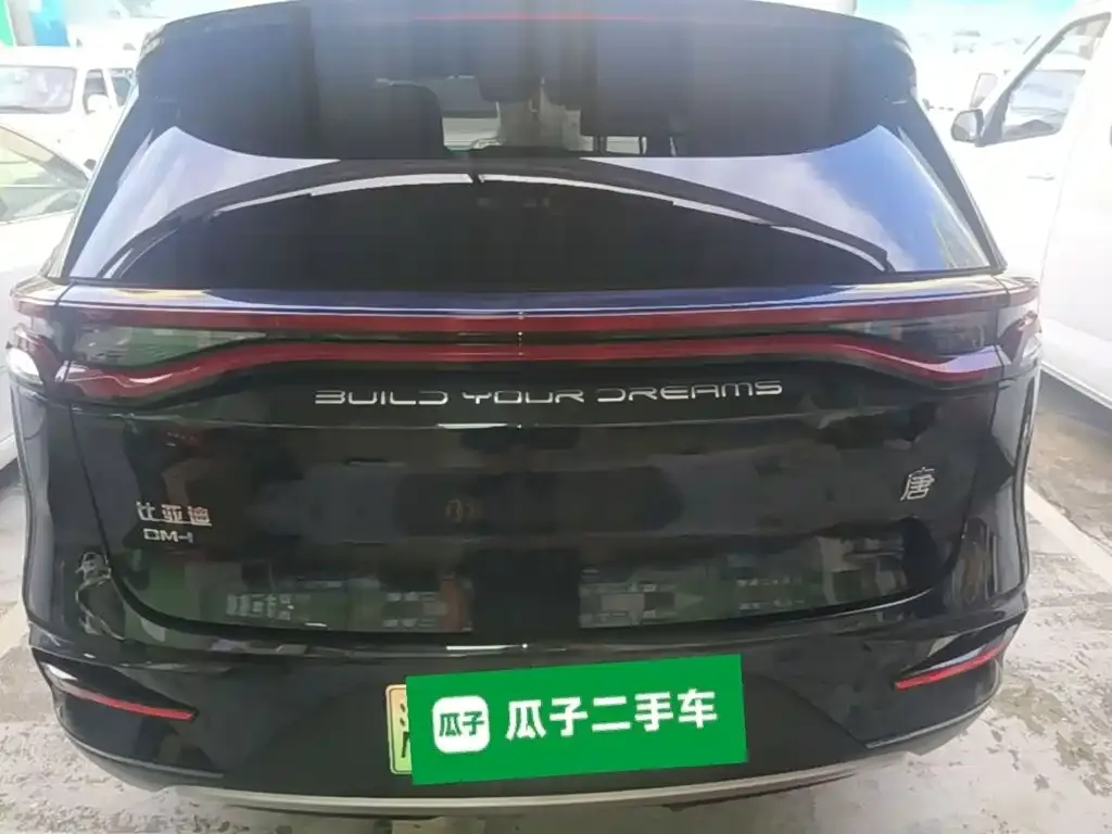 BYD Tang New Energy — фото 10