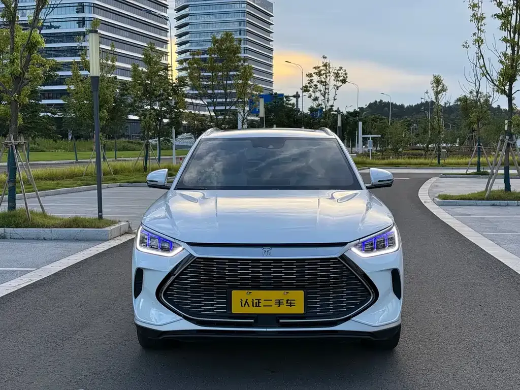 BYD PLUS New Energy — фото 1